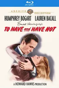 Poster to the movie "To Have and Have Not" #214948