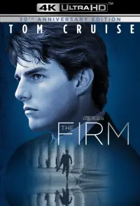 Poster to the movie "The Firm" #91332