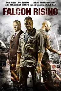 Poster to the movie "Falcon Rising" #144772