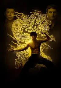 Poster to the movie "Birth of the Dragon" #674020