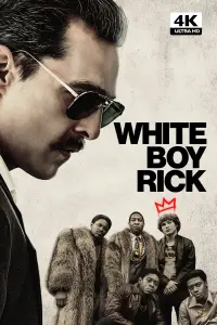 Poster to the movie "White Boy Rick" #316328