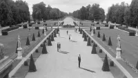 Backdrop to the movie "Last Year at Marienbad" #509432