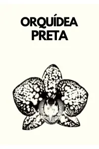 Poster to the movie "ORQUÍDEA PRETA" #523130