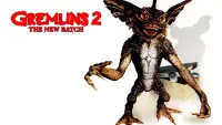 Backdrop to the movie "Gremlins 2: The New Batch" #80076