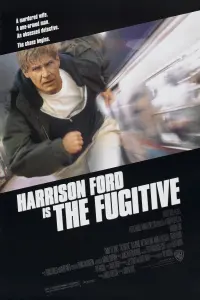 Poster to the movie "The Fugitive" #70078