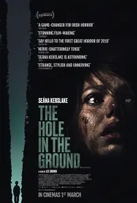 Poster to the movie "The Hole in the Ground" #135688