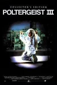 Poster to the movie "Poltergeist III" #148468