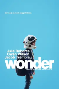 Poster to the movie "Wonder" #72328