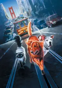 Poster to the movie "Homeward Bound II: Lost in San Francisco" #449796