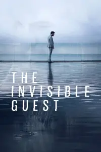 Poster to the movie "The Invisible Guest" #75775