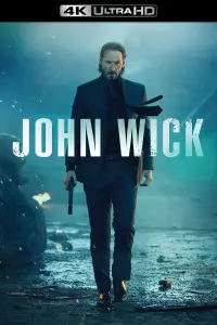 Poster to the movie "John Wick" #51548