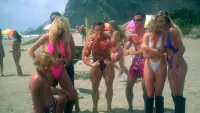 Backdrop to the movie "Beach Babes from Beyond" #538045