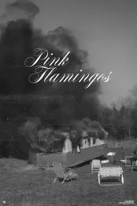 Poster to the movie "Pink Flamingos" #350756