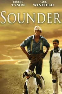 Poster to the movie "Sounder" #495768