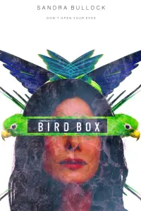 Poster to the movie "Bird Box" #65572