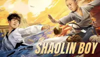 Backdrop to the movie "The Shaolin Boy" #603419