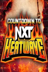 Poster to the movie "Countdown to NXT Heatwave 2024" #550763