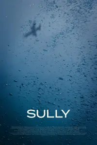 Poster to the movie "Sully" #234201