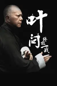 Poster to the movie "Ip Man: The Final Fight" #459050