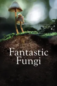 Poster to the movie "Fantastic Fungi" #364911