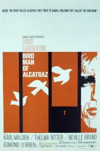 Poster to the movie "Birdman of Alcatraz" #358113