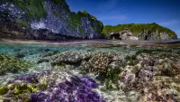 Backdrop to the movie "Protecting Paradise: The Story of Niue" #614030