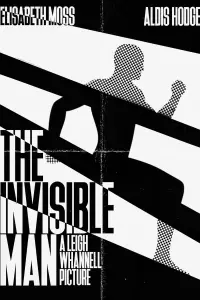 Poster to the movie "The Invisible Man" #238355