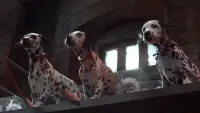 Backdrop to the movie "102 Dalmatians" #570098