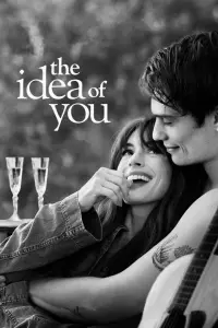 Poster to the movie "The Idea of You" #453220