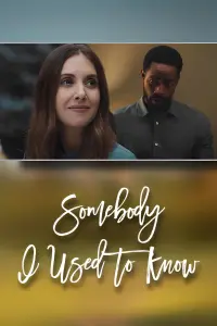 Poster to the movie "Somebody I Used to Know" #68187