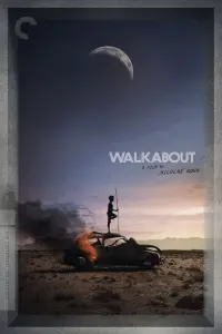 Poster to the movie "Walkabout" #226173