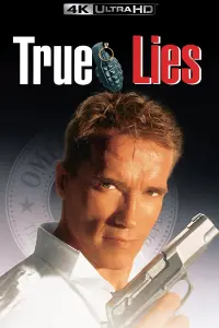 Poster to the movie "True Lies" #242869