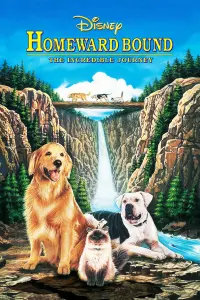 Poster to the movie "Homeward Bound: The Incredible Journey" #251072