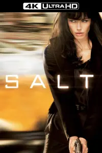 Poster to the movie "Salt" #73133