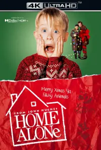 Poster to the movie "Home Alone" #216187