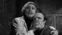 Backdrop to the movie "Young Frankenstein" #183676