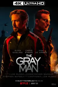 Poster to the movie "The Gray Man" #45834