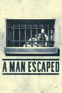 Poster to the movie "A Man Escaped" #181334