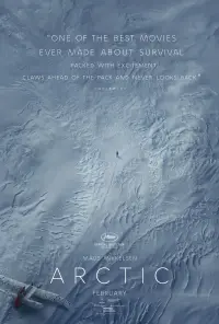 Poster to the movie "Arctic" #364832