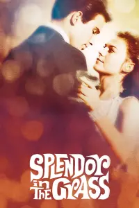 Poster to the movie "Splendor in the Grass" #365053