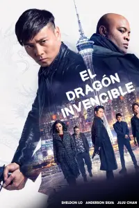 Poster to the movie "The Invincible Dragon" #409055