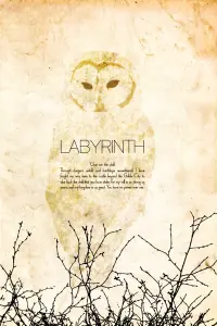 Poster to the movie "Labyrinth" #121824