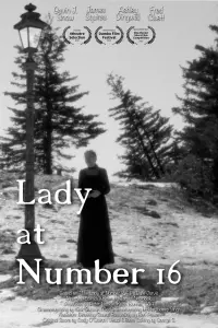 Poster to the movie "Lady at Number 16" #607862