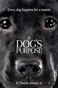 Poster to the movie "A Dog