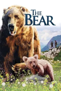 Poster to the movie "The Bear" #130071