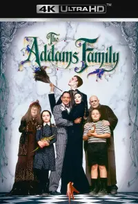 Poster to the movie "The Addams Family" #55357