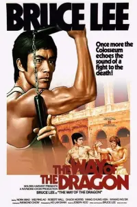 Poster to the movie "The Way of the Dragon" #82873