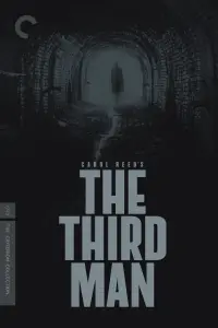 Poster to the movie "The Third Man" #559888