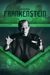 Poster to the movie "Frankenstein" #357191