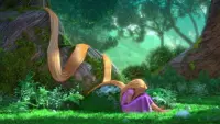 Backdrop to the movie "Tangled" #616907